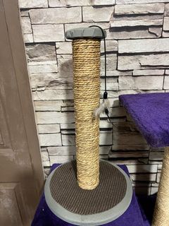 (Category: ) located in . Submitted by Freda (Listing ID 1185426866, Image 1). Description: .