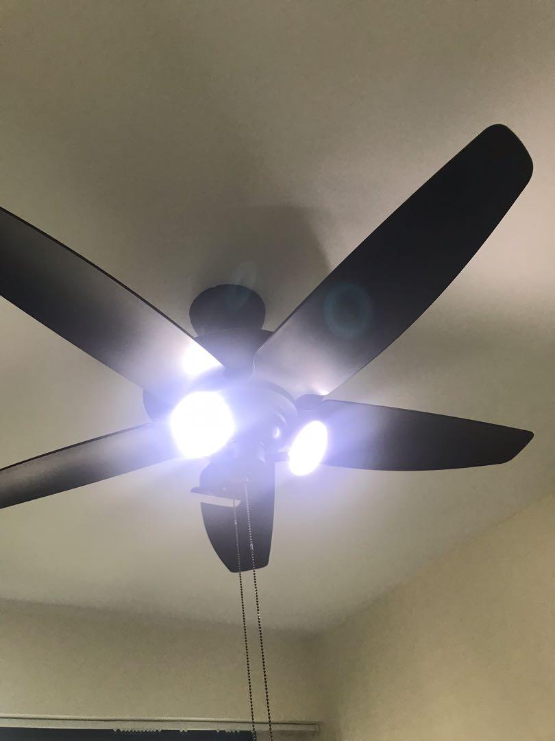 Cheap! Ceiling Fan with LED Lights (Ajustable/Tilt), Furniture & Home