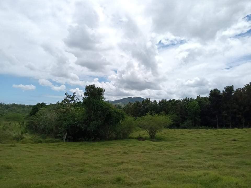 Farm with river for sale (Category: Lot) located in Pasig City. Submitted by chialouise (Listing ID 1185453123, Image 2). Description: Beautiful Farm with River For sale ‼️‼️ 🏞 asking price: 350 per sqm only 🏞 lot area: 3 hectares ✅with calamansi trees ✅mostly flat terrain perfect for rest house, ranch, resort etc. ✅ Titled ✅ along barangay road 📍Loc. Rosario, Batangas. Only 2hrs. away from manila 🙂 Direct buyer only pls 🙏🏻.
