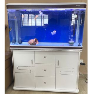 (Category: ) located in . Submitted by denise.ddddddddd (Listing ID 1185320764, Image 1). Description: .