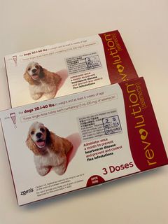 （分類：）位於 。 由 twdcheng 提交（商品編號 1185440919，圖片 1）。簡介： 。
