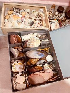 (Category: ) located in . Submitted by pinkchilli (Listing ID 1185337242, Image 1). Description: .