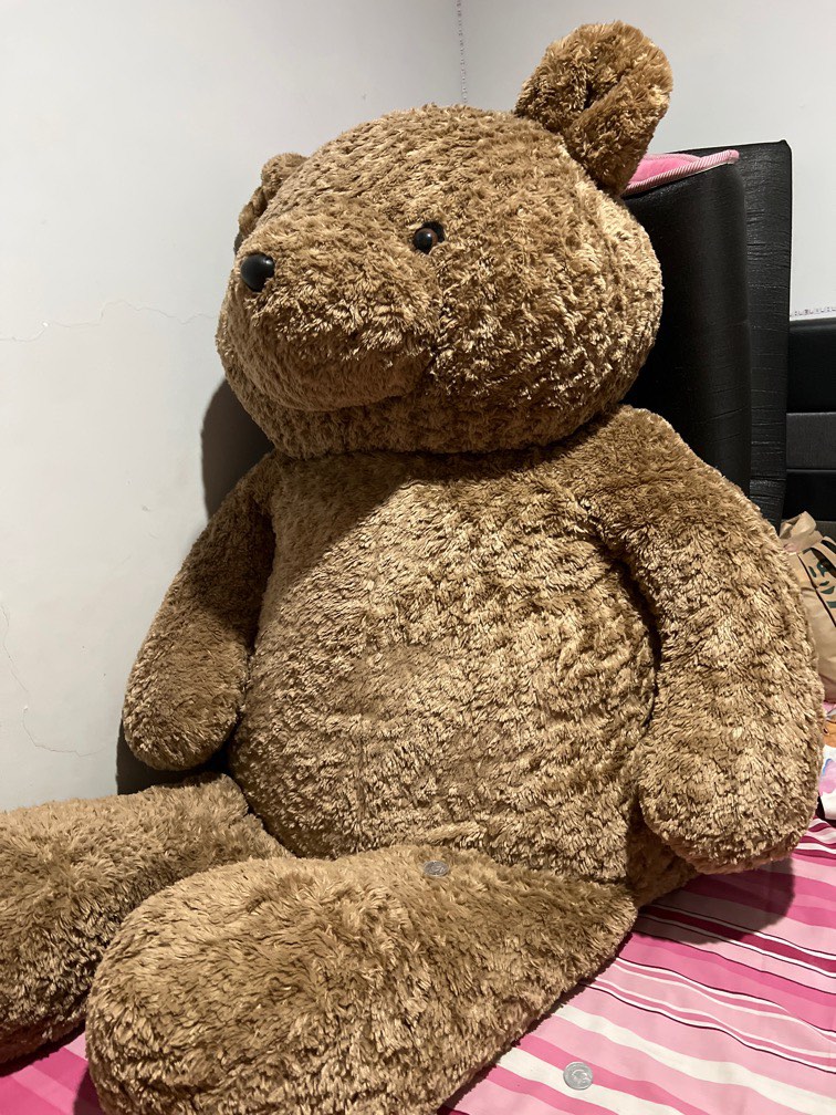 Teddy bear teddy house size terbesar