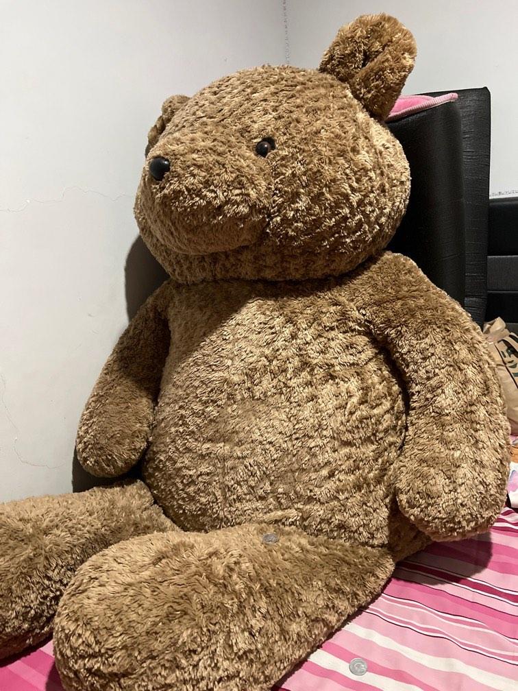 Teddy bear teddy house size terbesar Toys Collectibles Lainnya di Carousell