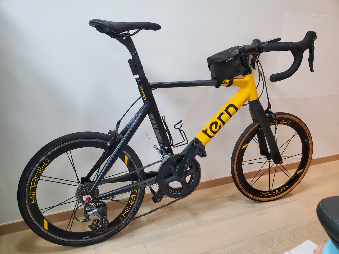 Tern surge pro 47cm, 運動產品, 單車及配件, 單車- Carousell