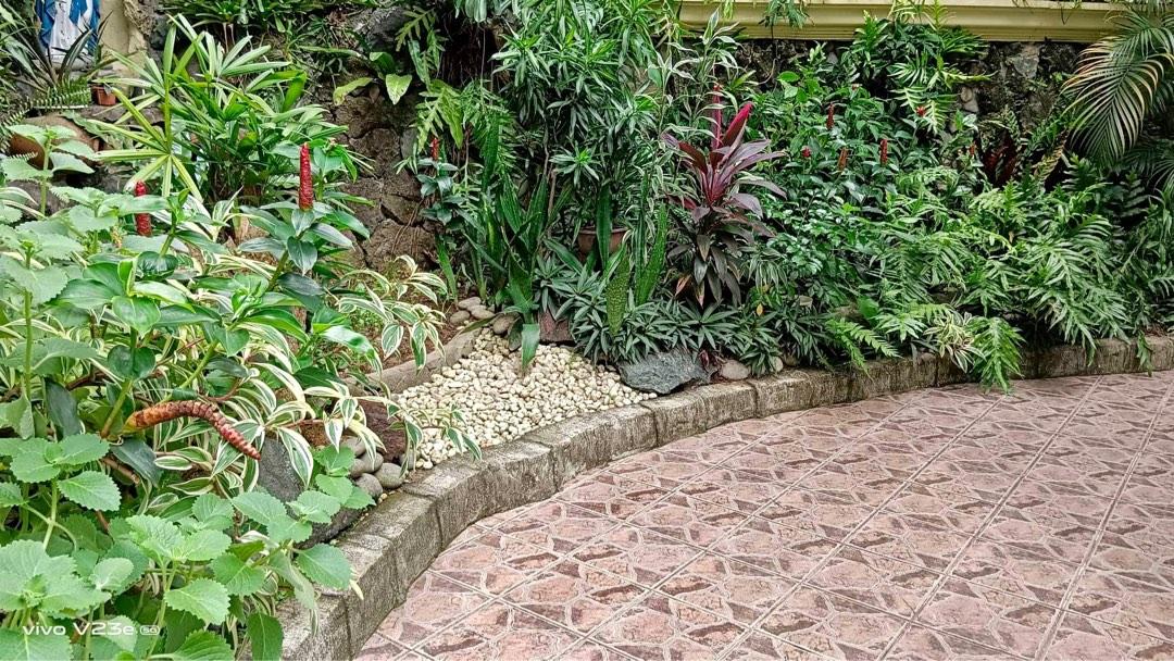 Tierra Pura house for sale near Mira Nila Ayala Heights Miranila