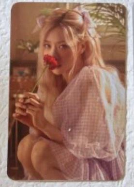 WTS *RARE* Blackpink Rose photocard, Hobbies & Toys, Memorabilia 