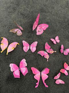 11 butterflies
