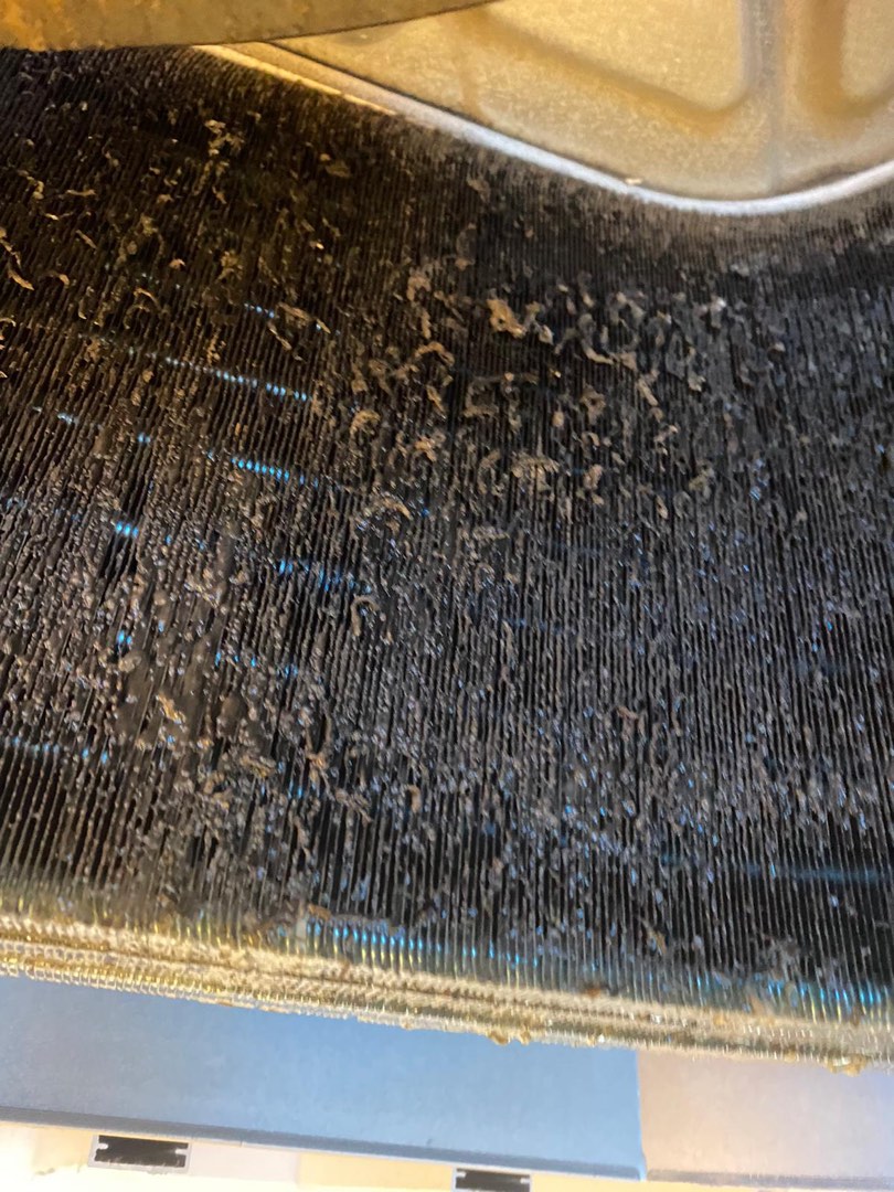 1600餐廳洗冷氣機62863124613634113