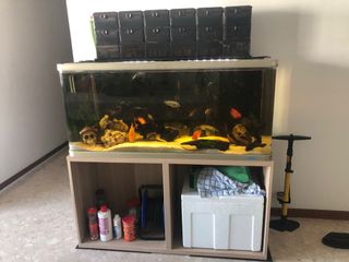 (Category: ) located in . Submitted by purdempot (Listing ID 1185511209, Image 1). Description: .