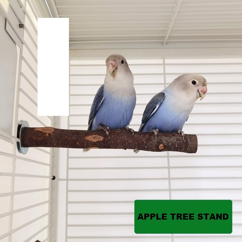 Vogel Sitzstange Naturholz - Krallenpflege Stab 2,5x35cm Für Papageien & Vögel