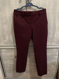 Express burgundy slacks office pants
