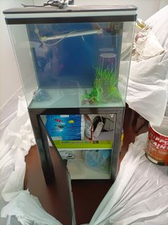 (Category: ) located in . Submitted by DavisLim (Listing ID 1185584445, Image 1). Description: .