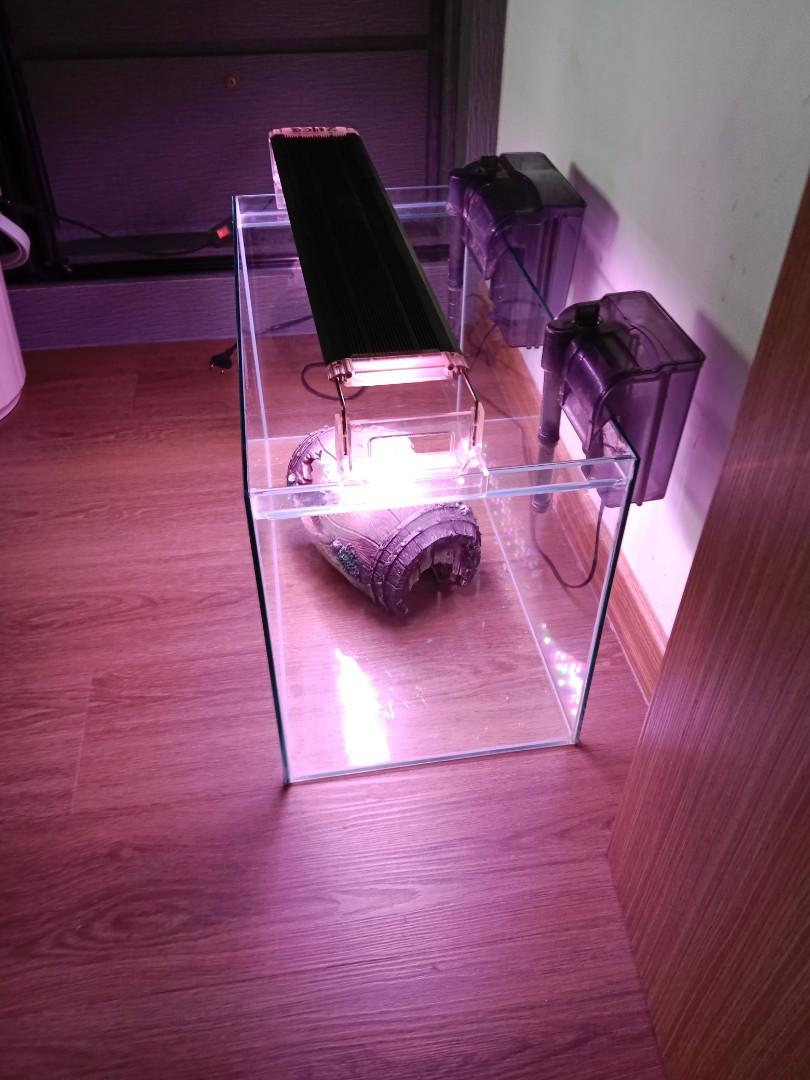Fish tank full set, Pet Supplies, Homes & Other Pet Accessories on