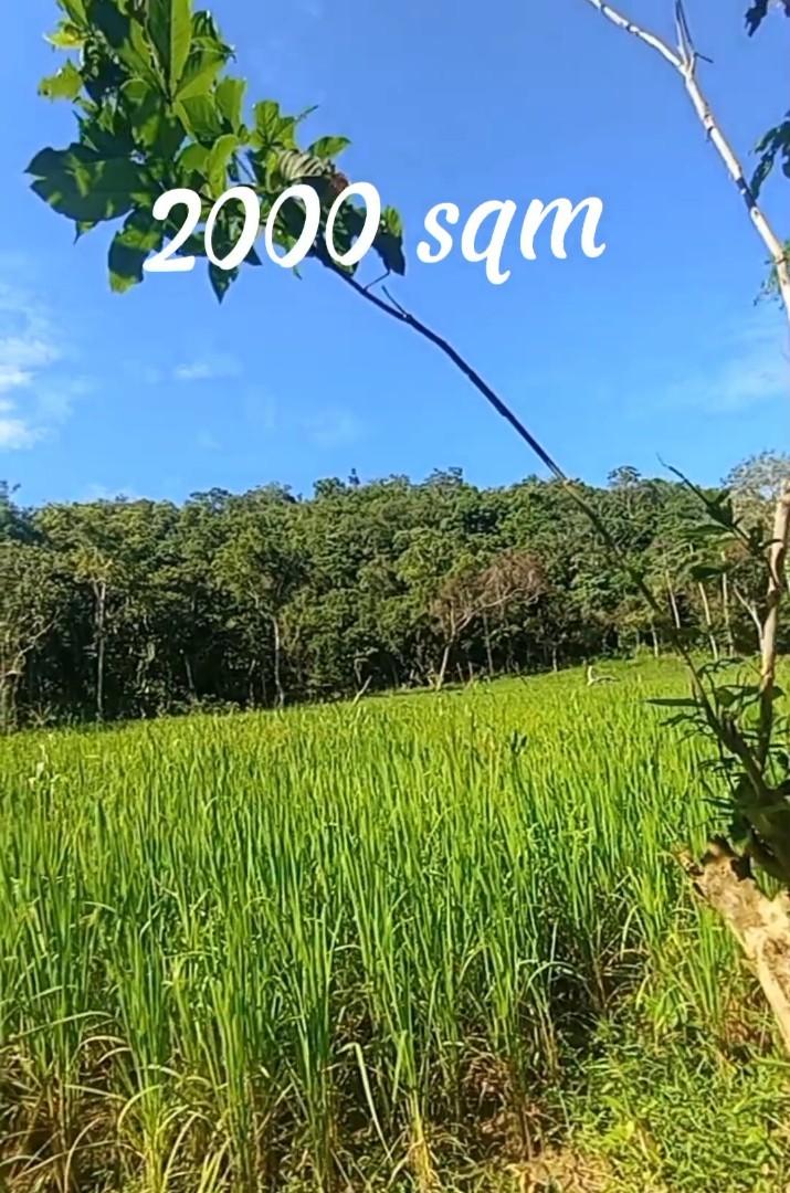 Lot for Sale El Nido Palawan, Property, For Sale, Lot on Carousell