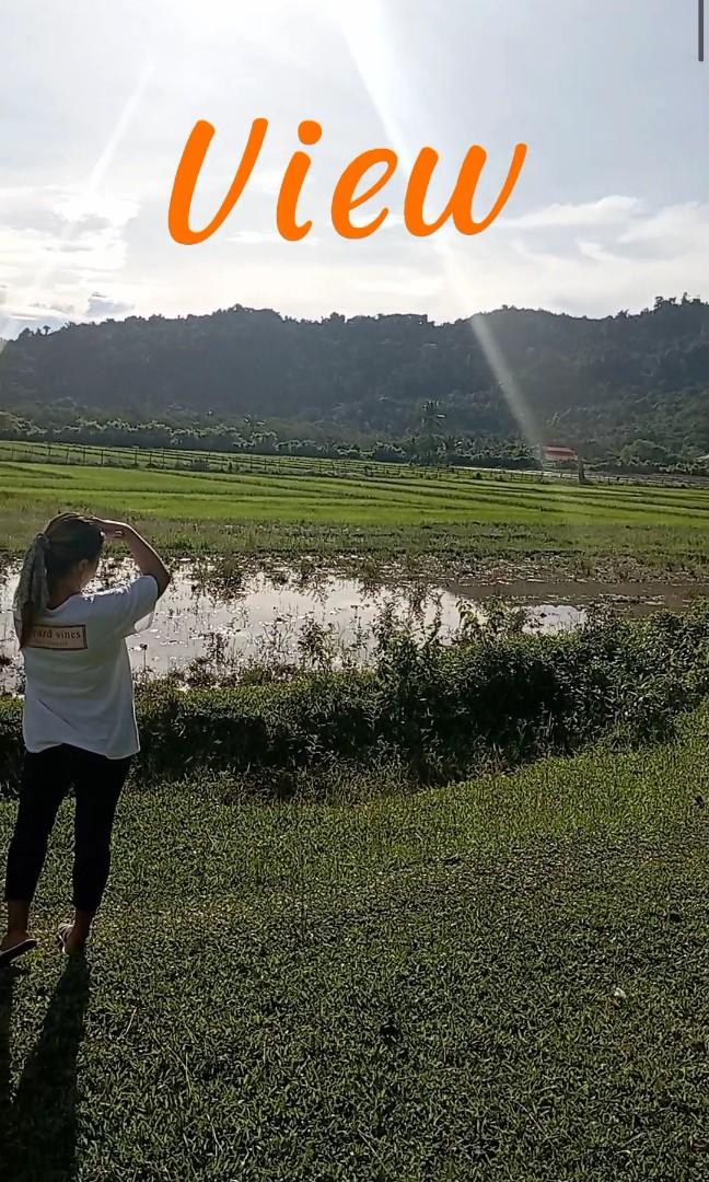 Lot for Sale El Nido Palawan, Property, For Sale, Lot on Carousell