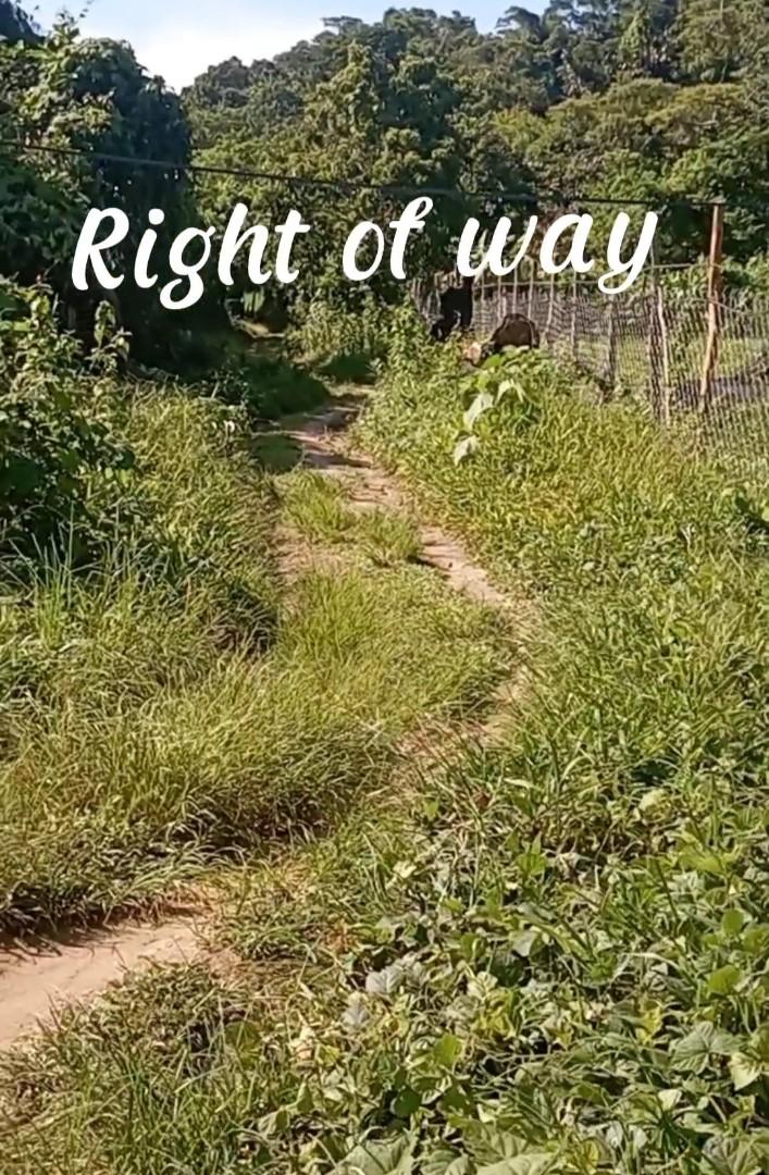 Lot for Sale El Nido Palawan, Property, For Sale, Lot on Carousell