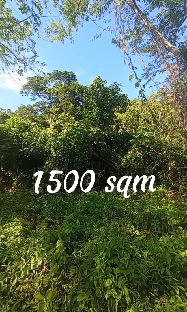 Lot for Sale El Nido Palawan, Property, For Sale, Lot on Carousell