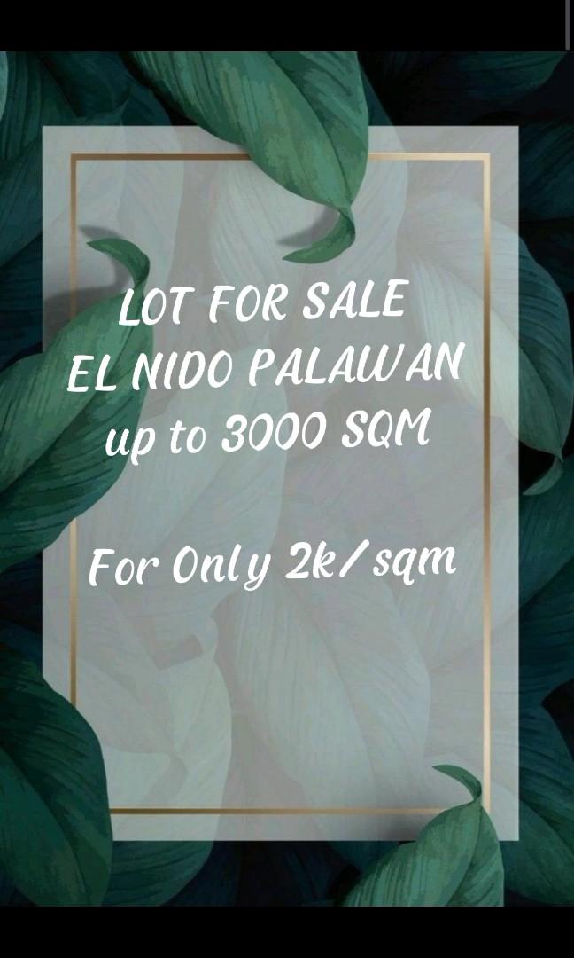 Lot for Sale El Nido Palawan, Property, For Sale, Lot on Carousell