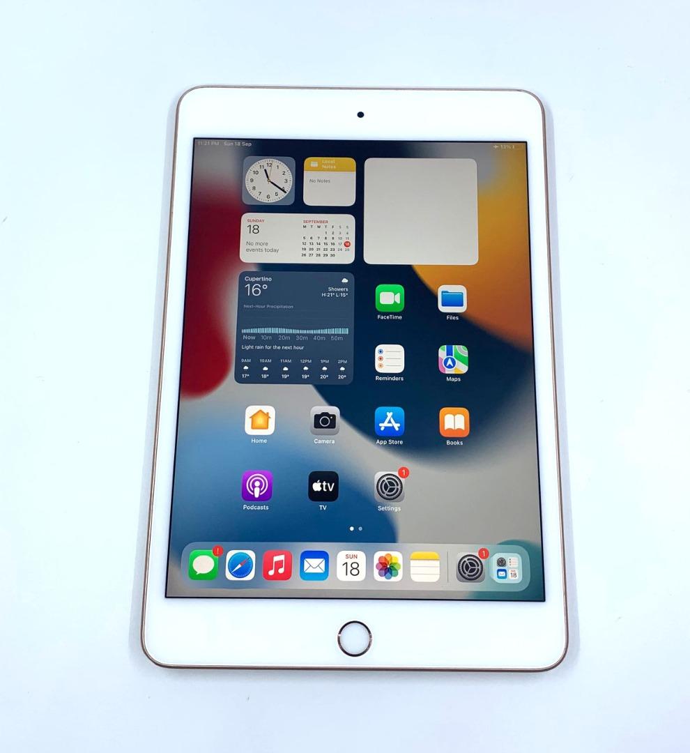 USED] iPad Mini 5th gen (iPad Mini 5) 64GB WiFi Gold, Retina