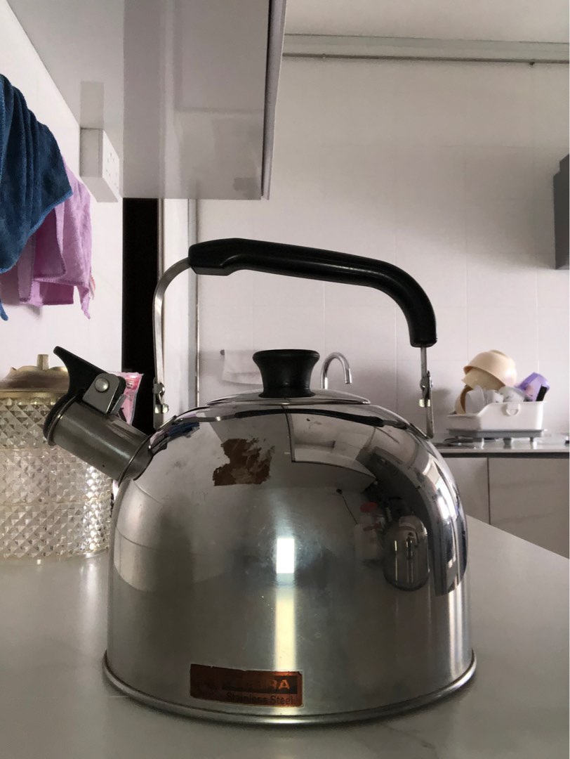 Electric whistling kettle online