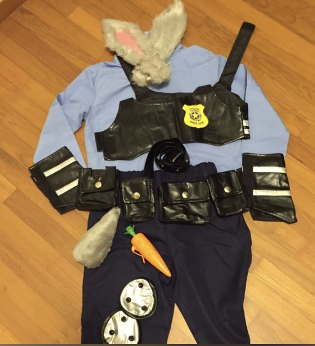 Zootopia Costume, Babies & Kids, Babies & Kids Fashion on Carousell