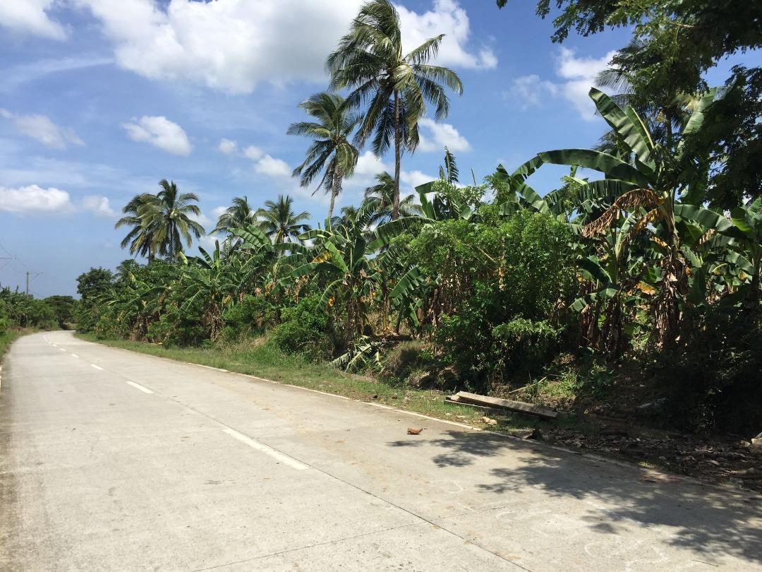 15 Has. Land For Sale Maragondon Cavite, Property, For Sale, Lot on