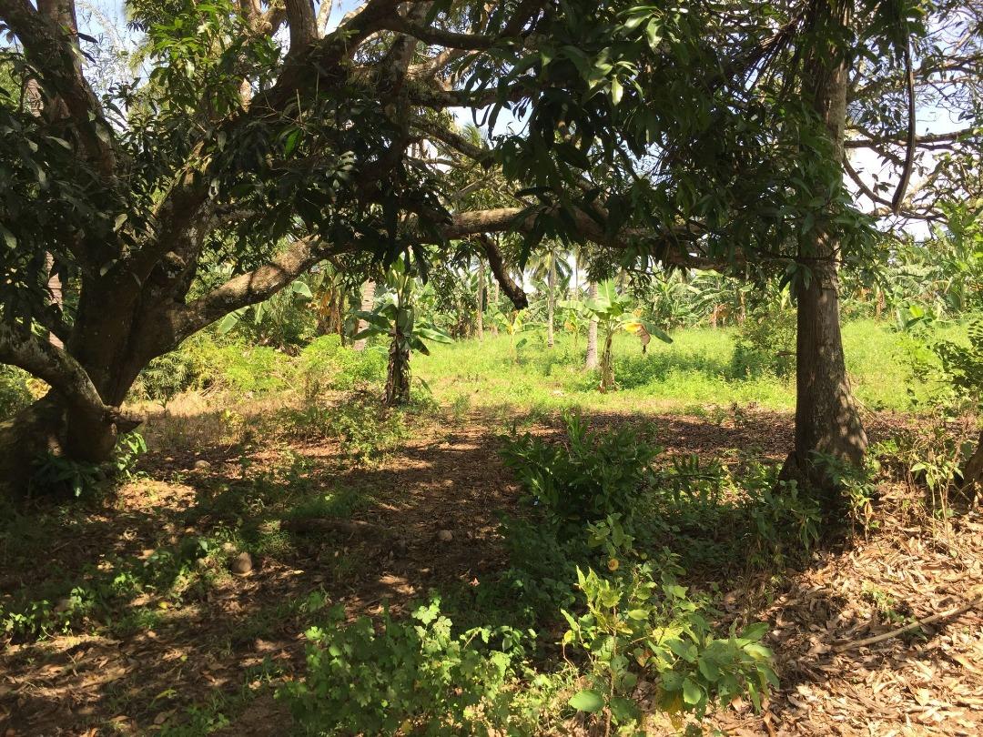 15 Has. Land For Sale Maragondon Cavite, Property, For Sale, Lot on