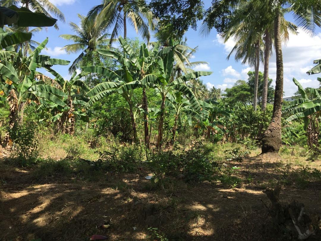 15 Has. Land For Sale Maragondon Cavite, Property, For Sale, Lot on