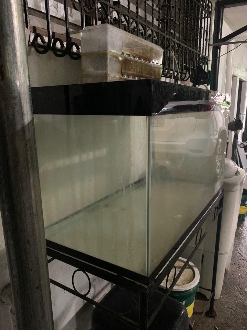 50 gallon aquarium with stand and trickle filter, Pet Supplies, Homes & Other Pet Accessories on