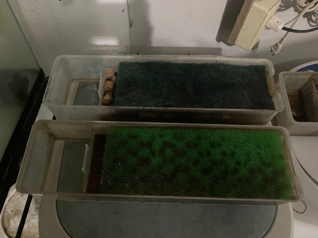 Image showcasing 50 gallon aquarium with stand and trickle filter, Pet Supplies, Homes ...