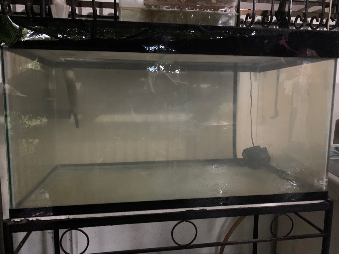 50 gallon aquarium with stand and trickle filter, Pet Supplies, Homes & Other Pet Accessories on