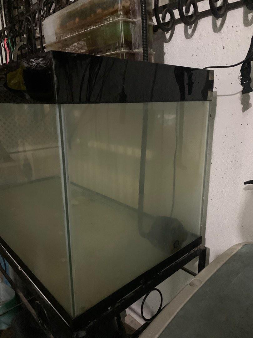 50 gallon aquarium with stand and trickle filter, Pet Supplies, Homes & Other Pet Accessories on
