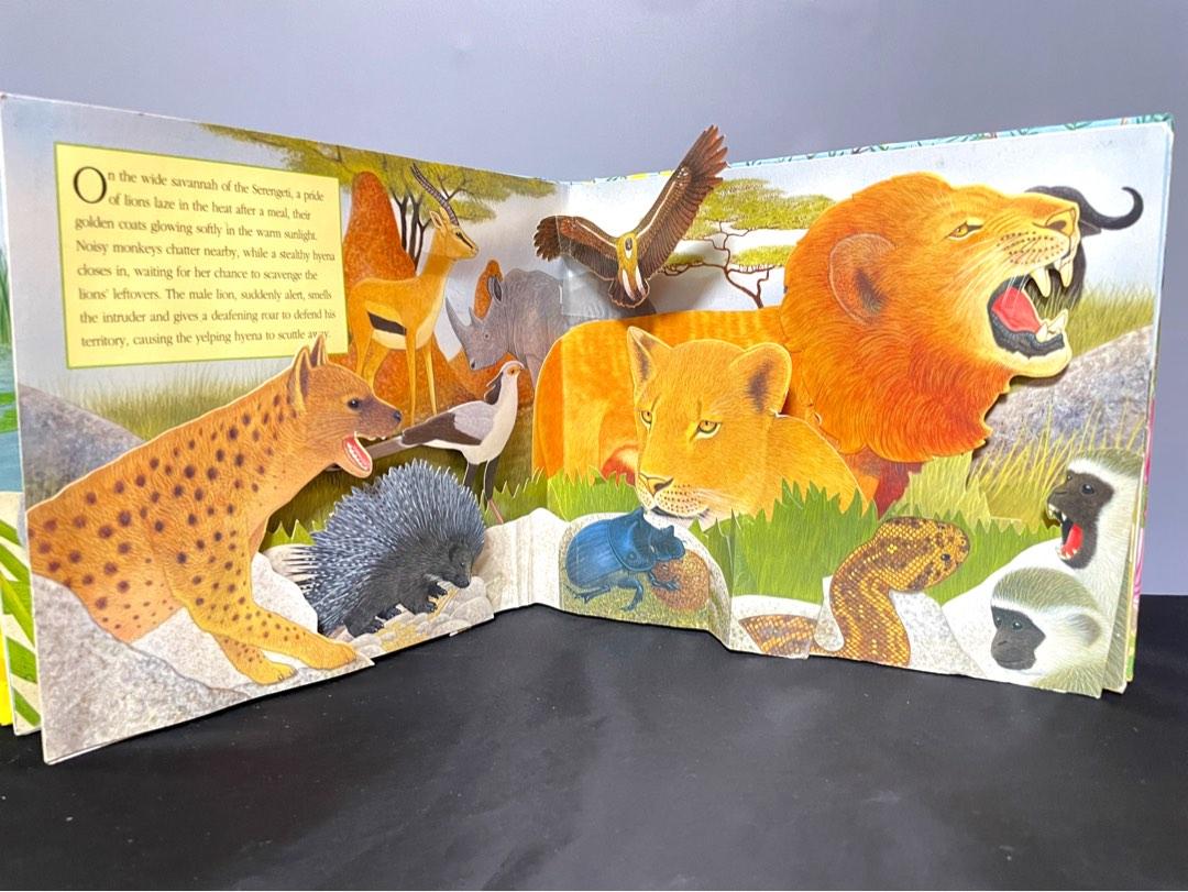 [70% New] Sounds of the Wild - Safari (3D scenes) / Children’s Books ...