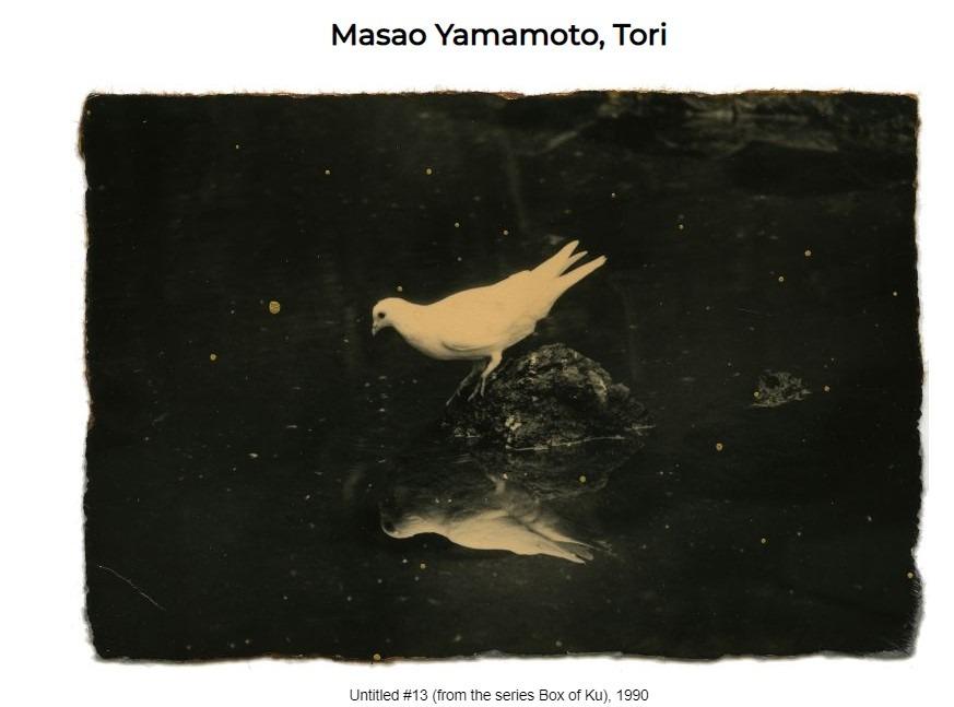 山本昌男Masao YAMAMOTO 攝影書攝影集写真集日版空運到港現貨, 興趣及