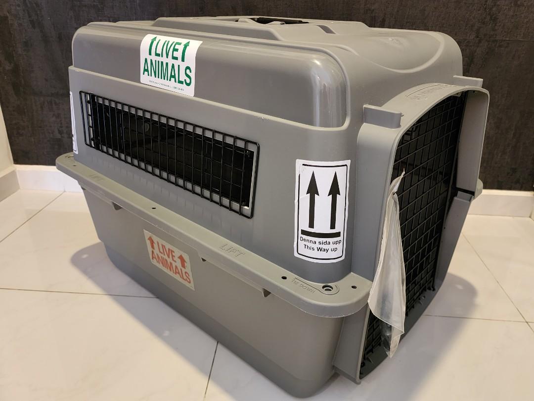 IATA Airline Approved Crate 28" Sky Kennel Ultra, Pet Supplies, Homes