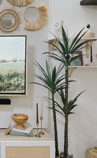 (Category: ) located in . Submitted by Ksfavourite (Listing ID 1185773689, Image 1). Description: .