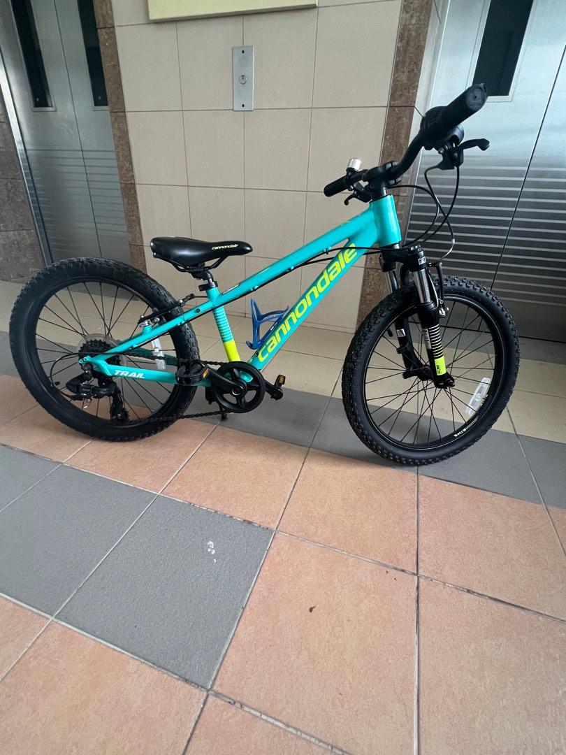 cannondale 20 inch