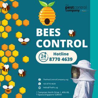 Bees, Wasps, Flies, Hornet, , Cockroach Termite Bedbug Rat Ant Mosquito House fly, Silverfish, Rodent Mice Mouse White Ant Insect. CALL US.