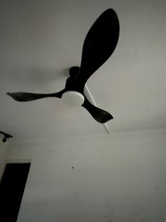 (Category: ) located in . Submitted by ktticat (Listing ID 1185796980, Image 1). Description: .