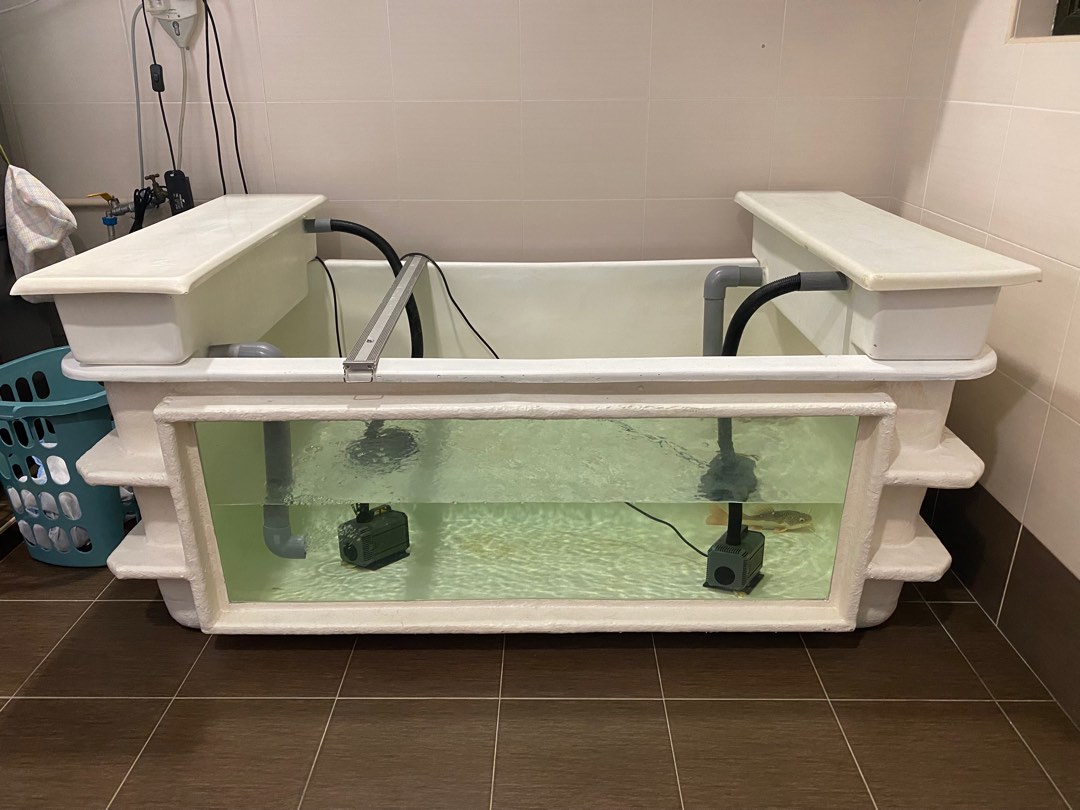 Fibre fish shop tank