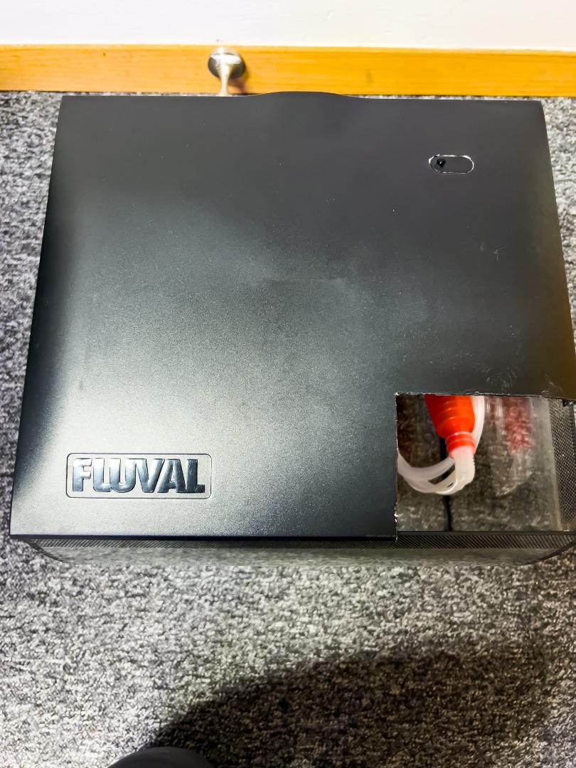 Fluval Flex 9 US Gal (34L) with freebies Aquarium Kit, Pet Supplies