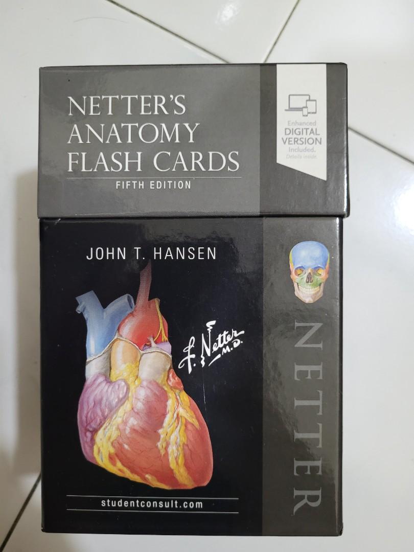 NETTER'S ANATOMY FLASH CARDS, Hobbies & Toys, Books & Magazines