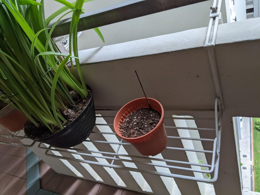 Pot/Planter Railing Rack, Furniture & Home Living, Gardening, Pots ...