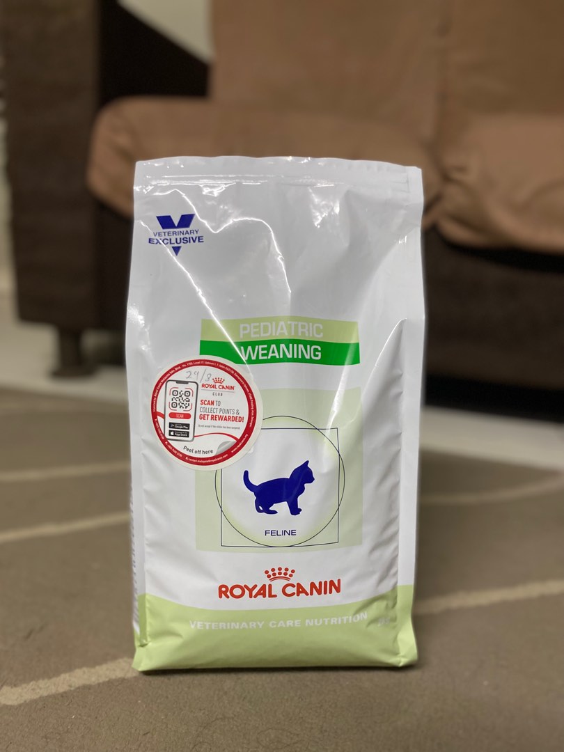 Pediatric weaning feline royal canin sales