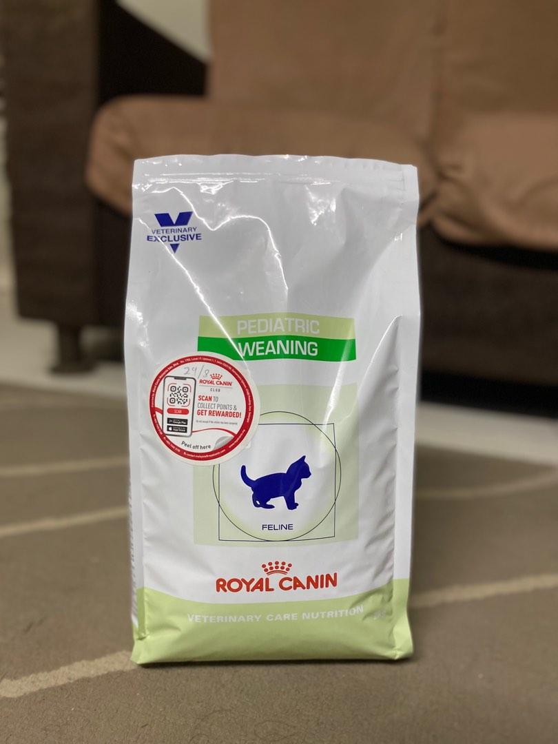 Pediatric deals royal canin