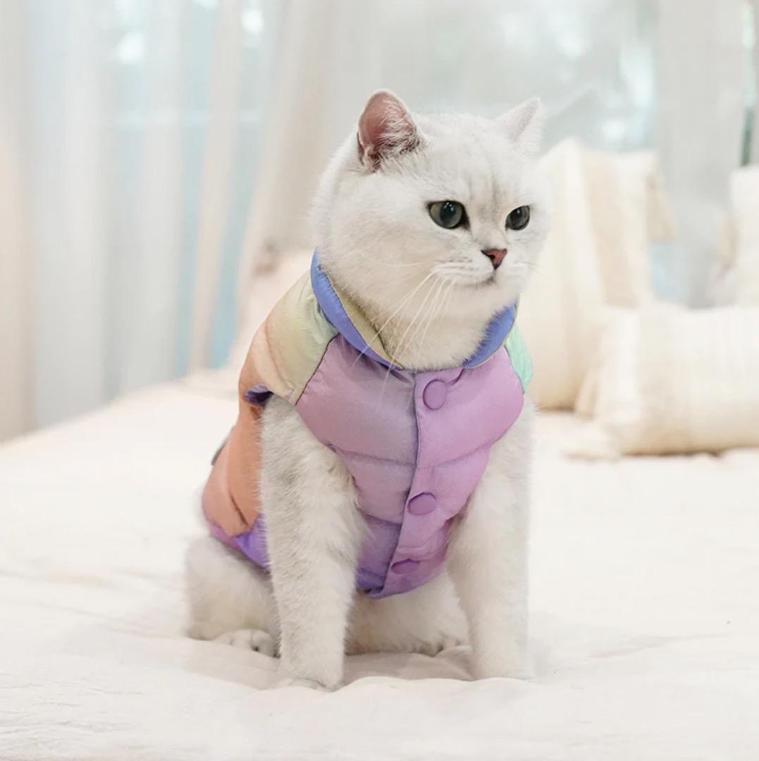 Free Delivery Zeze Cat Dog Pet Jacket Windbreaker