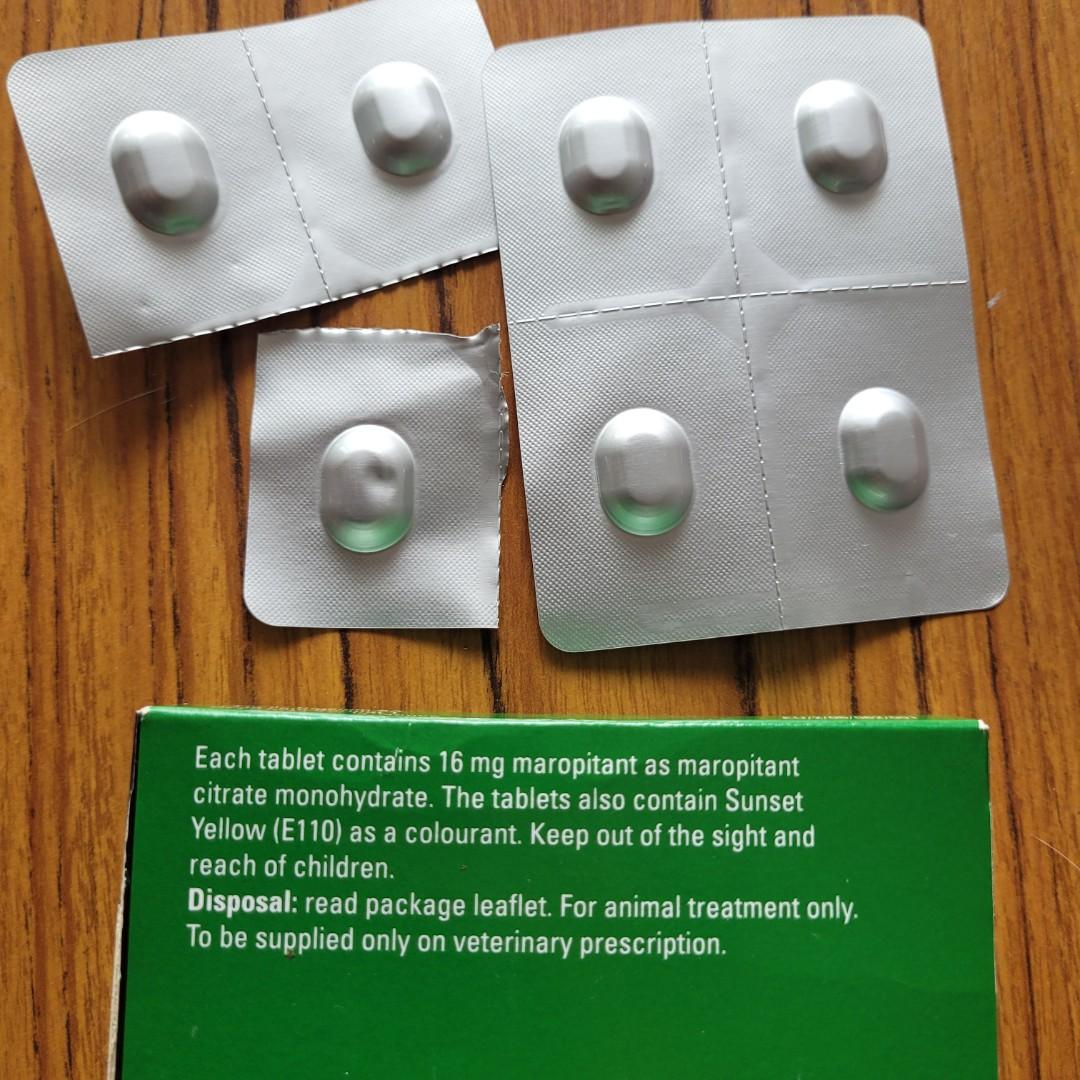 Anti nausea medicine sales for cats
