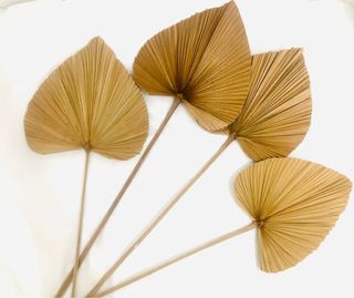(Category: ) located in . Submitted by justoverflows (Listing ID 1182473669, Image 1). Description: .