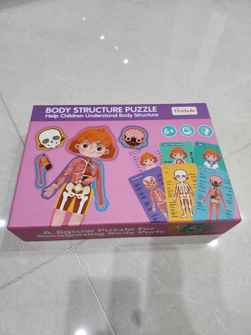 Body Structure Puzzle Girl, Hobbies & Toys, Toys & Games on Carousell